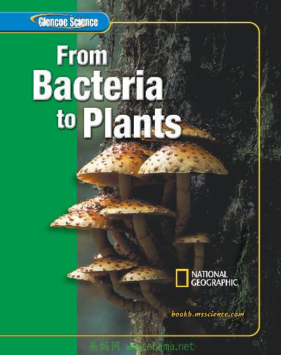 ѧ̽-ģB-ϸֲ-From_Bacteria_to_Plant.jpg