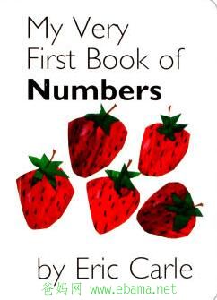 MY VERY FIRST BOOK OF NUMBER.jpg