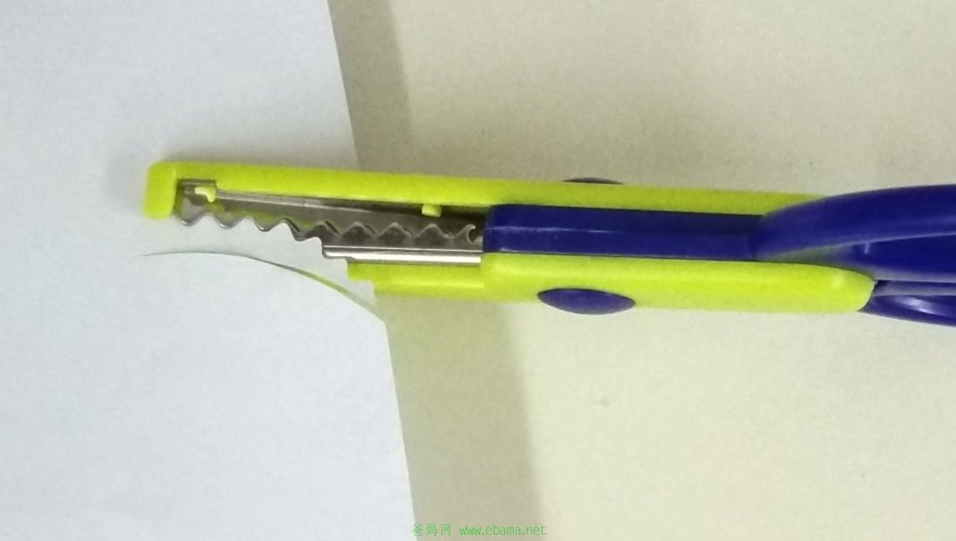 e03crocodile17.jpg