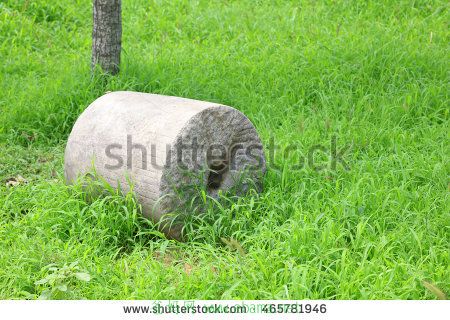 stock-photo-stone-roller-in-grass-465781946.jpg
