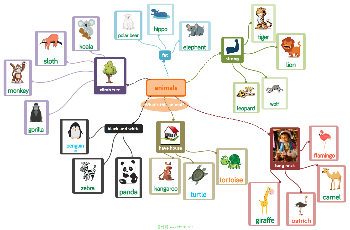 animals.png