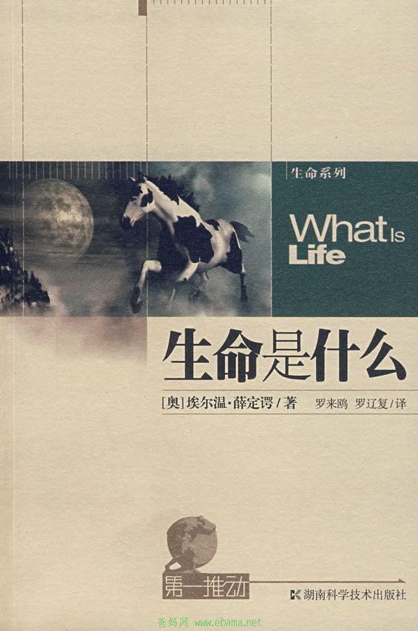 cover (365).jpg