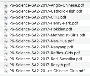 P6 Science SA2 2017